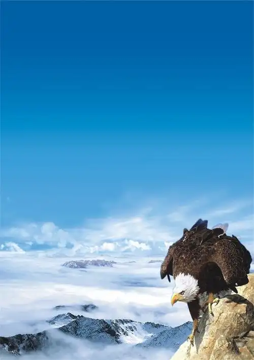 什么油可以润滑轴承吗